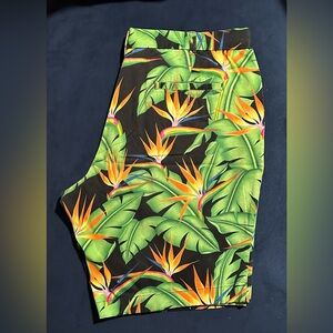 Loudmouth Men’s Golf Shorts Size 40